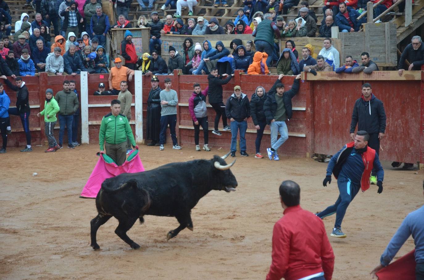 Buen juego del Toro del Aguardiente del Carnaval de Ciudad Rodrigo 2024