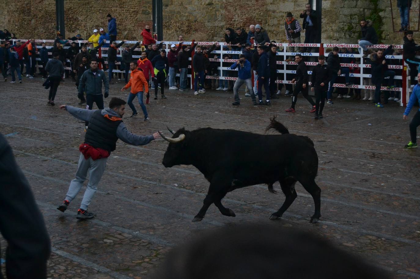 Buen juego del Toro del Aguardiente del Carnaval de Ciudad Rodrigo 2024