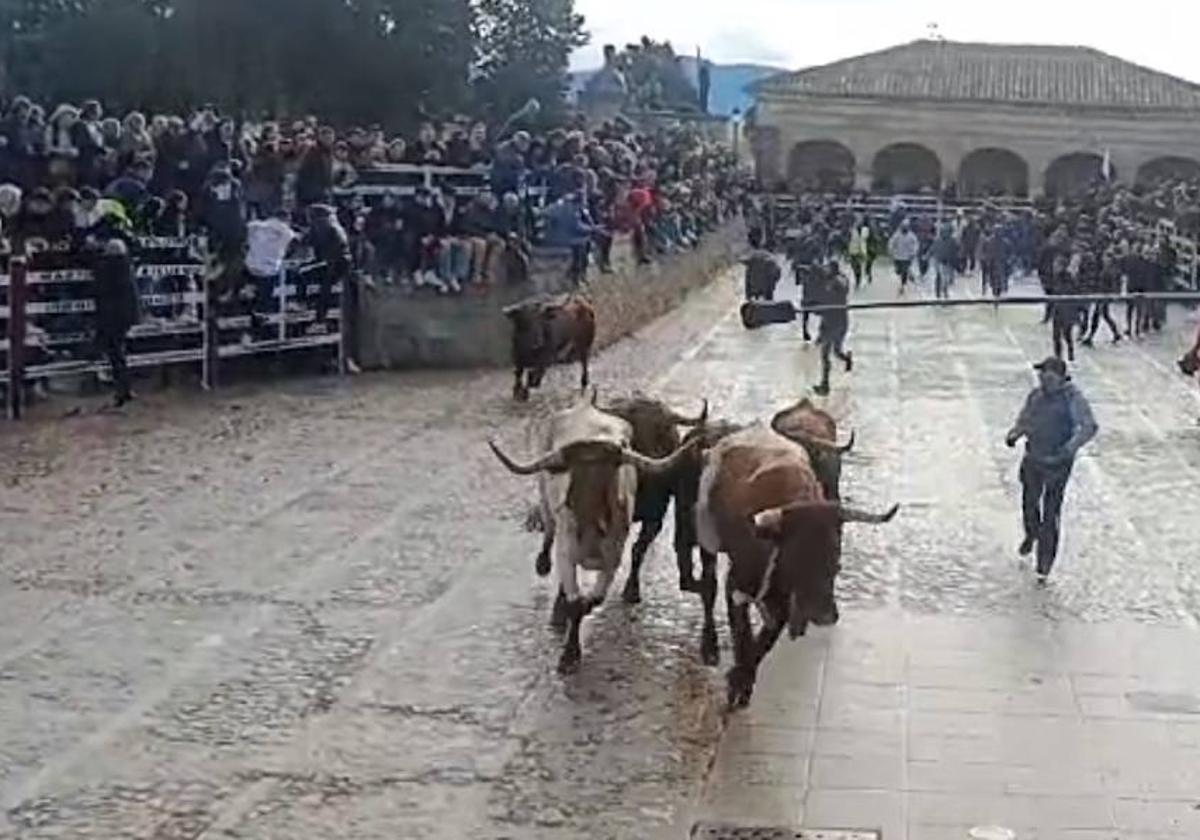 Se abre la cabeza tras caerse de las agujas en el último encierro del Carnaval