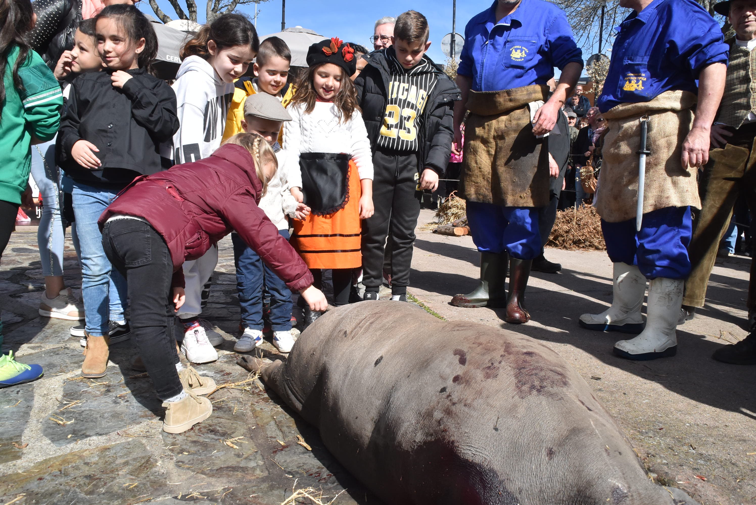 La matanza de Guijuelo rinde homenaje al sabor con numerosas caras conocidas