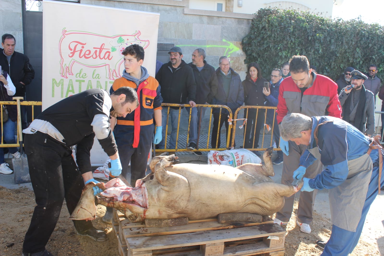 Más de 500 personas participan en la primera matanza celebrada en Cabrerizos