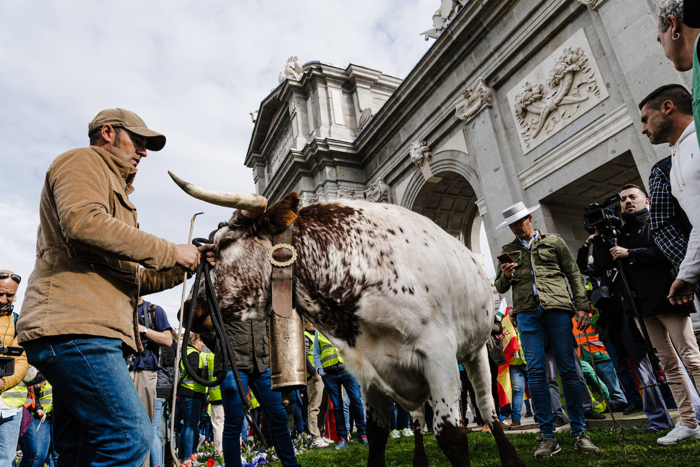 Las protestas del campo en Madrid, en imágenes