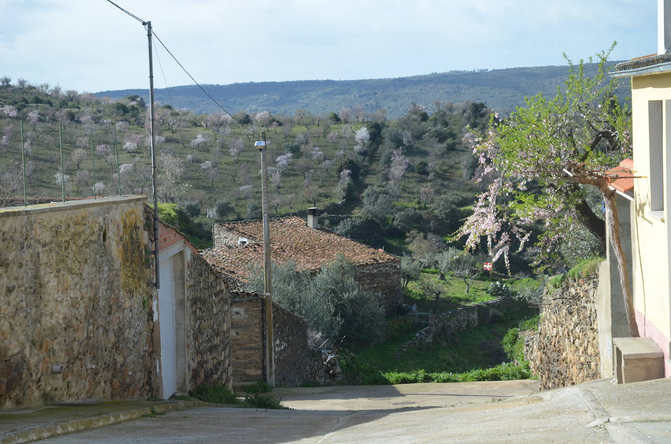 Más de 200 senderistas salen al encuentro de los almendros en flor desde La Fregeneda