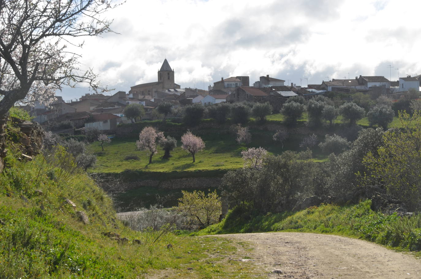 Más de 200 senderistas salen al encuentro de los almendros en flor desde La Fregeneda