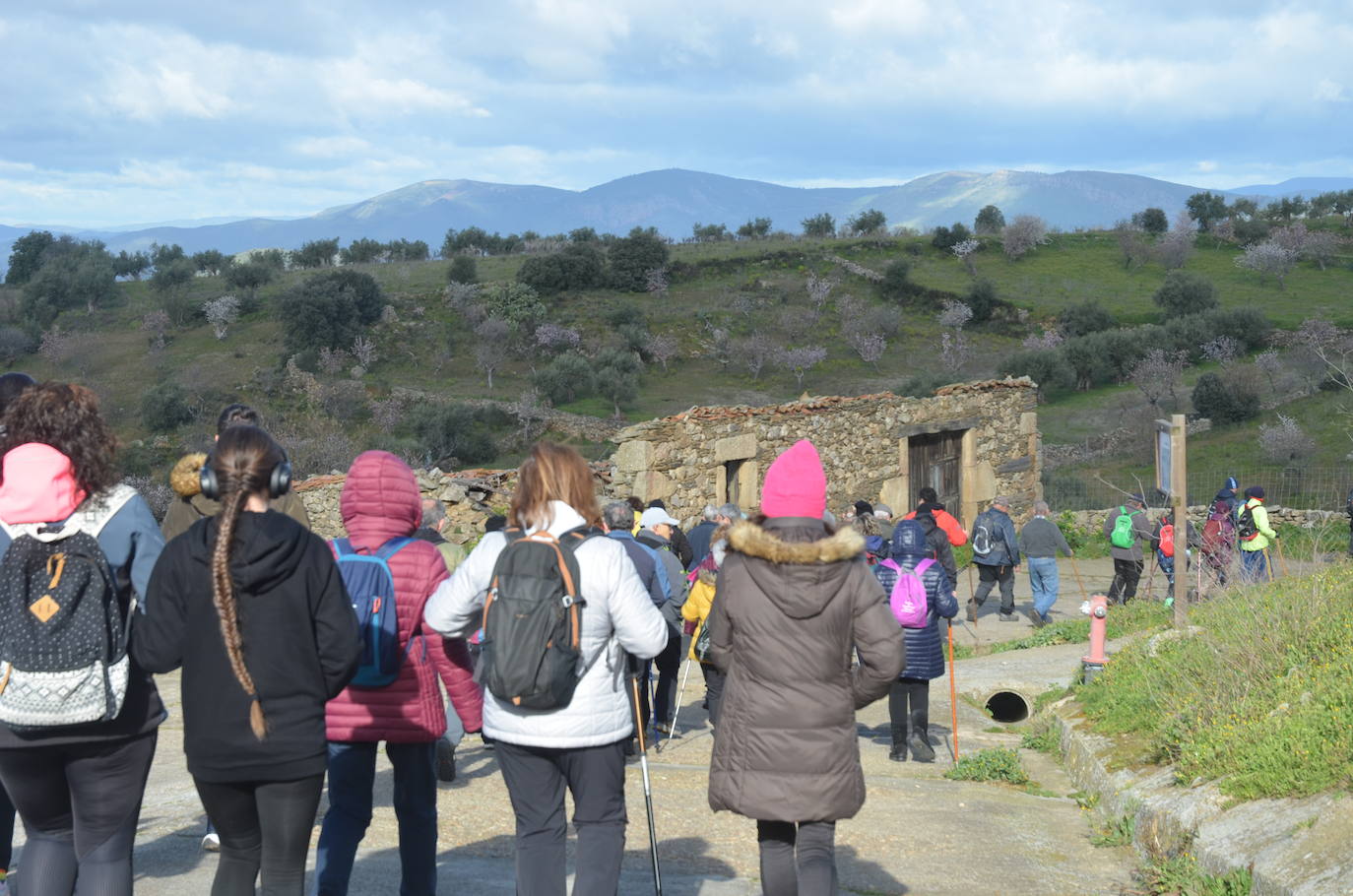 Más de 200 senderistas salen al encuentro de los almendros en flor desde La Fregeneda