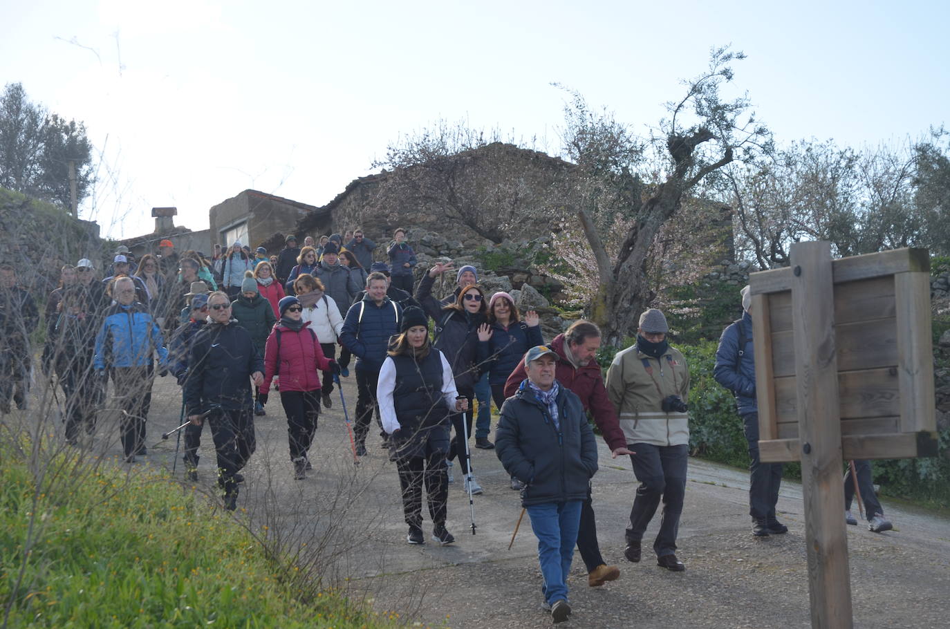 Más de 200 senderistas salen al encuentro de los almendros en flor desde La Fregeneda