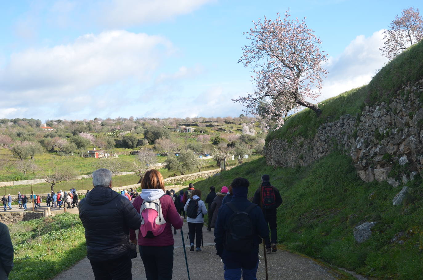 Más de 200 senderistas salen al encuentro de los almendros en flor desde La Fregeneda