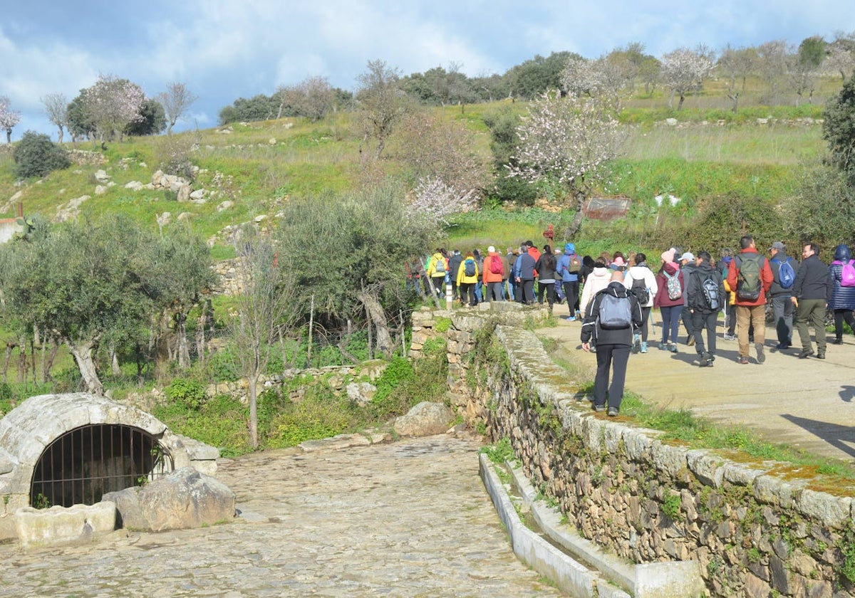 Más de 200 senderistas salen al encuentro de los almendros en flor desde La Fregeneda