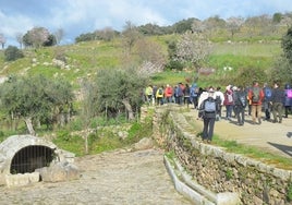 Marcha "Almendros en Flor", en el entorno de La Fregeneda