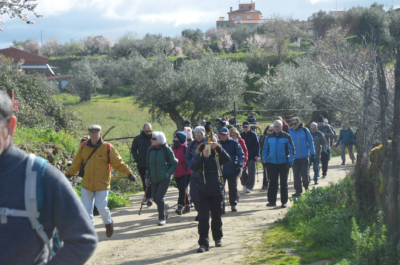 Más de 200 senderistas salen al encuentro de los almendros en flor desde La Fregeneda