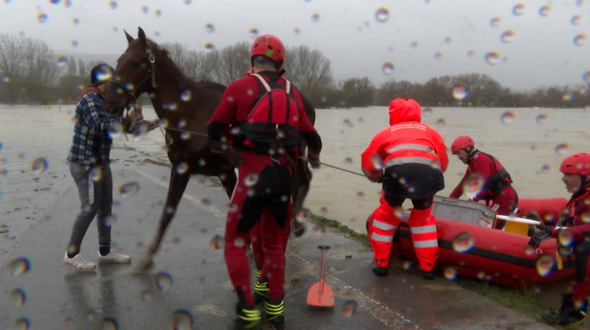 El dramático rescate de un caballo atrapado en un río desbordado en Álava