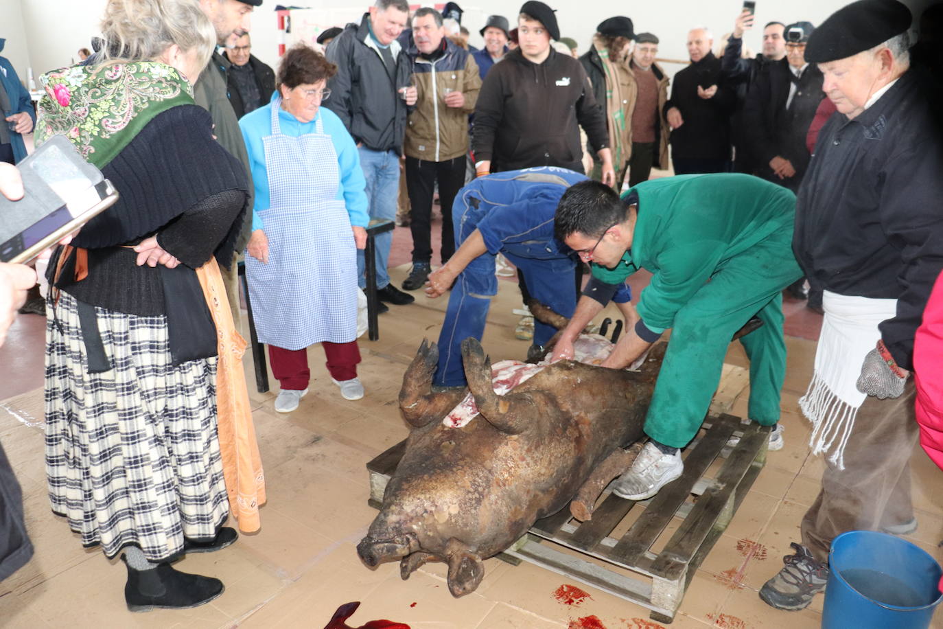 Los Santos mantiene vivas las tradiciones matanceras pese a la lluvia