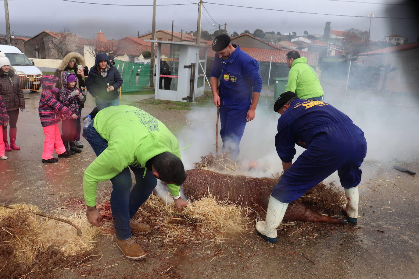 Berrocal de Salvatierra disfruta de su matanza contra viento y marea