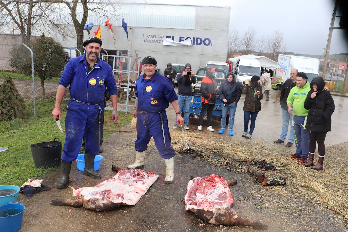 Berrocal de Salvatierra disfruta de su matanza contra viento y marea