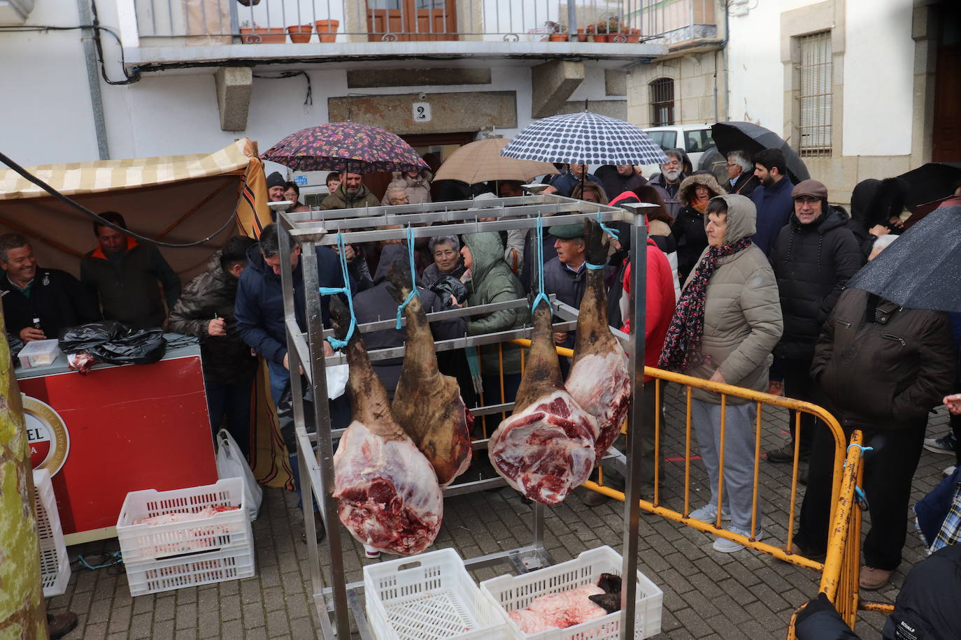 Alegría matancera en Santibáñez de Béjar