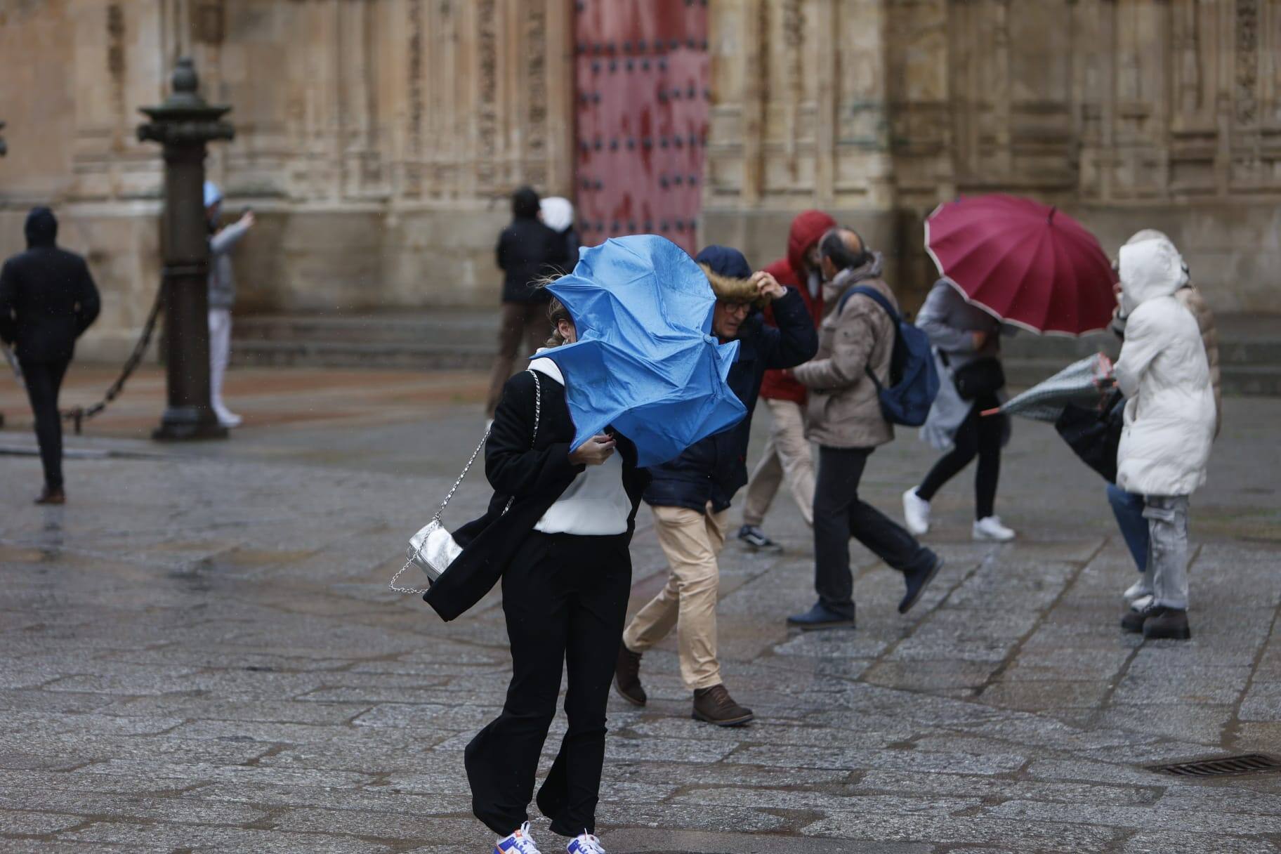 Llega la nieve a una Salamanca en alerta por fuertes vientos