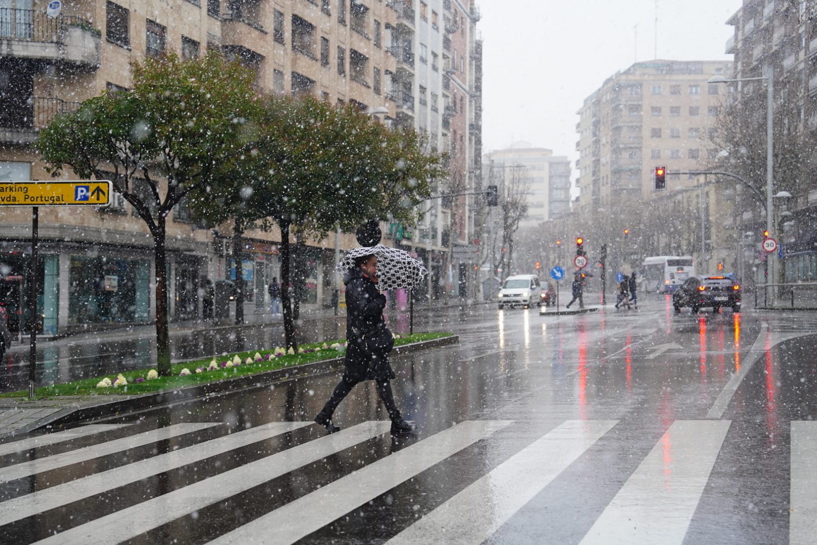 Llega la nieve a una Salamanca en alerta por fuertes vientos