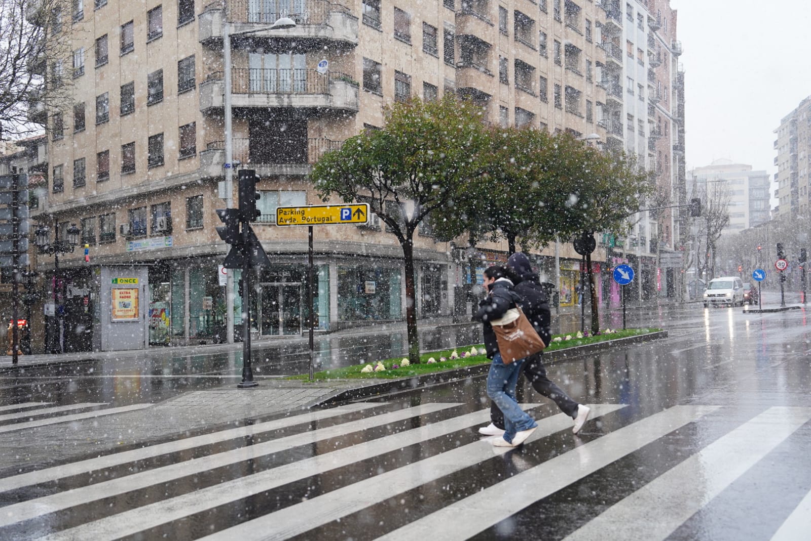 Llega la nieve a una Salamanca en alerta por fuertes vientos