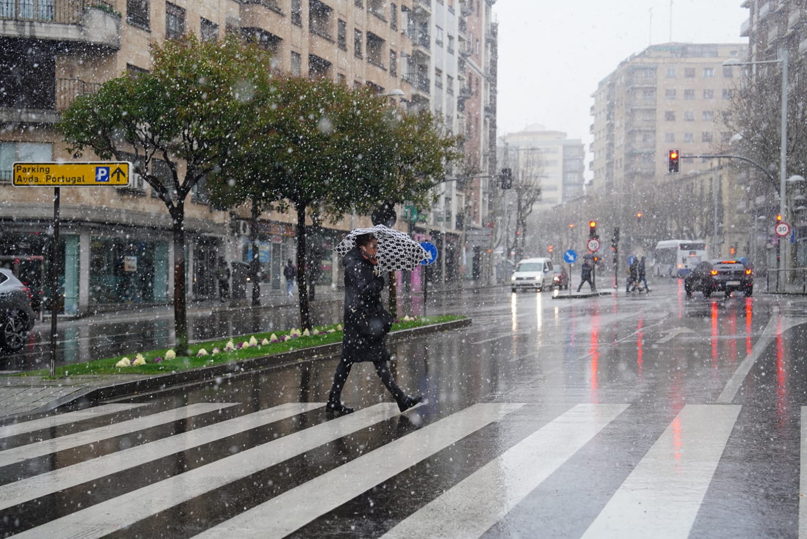 Llega la nieve a una Salamanca en alerta por fuertes vientos