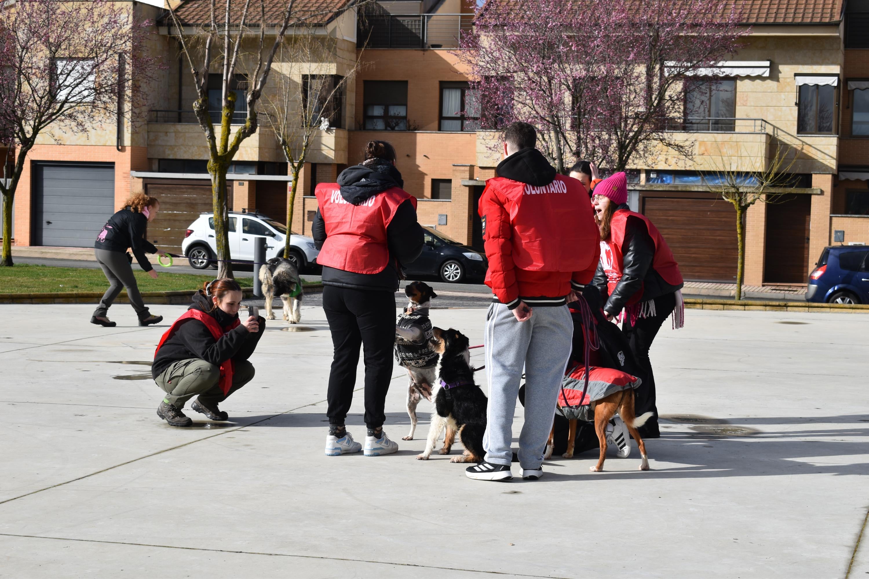 Álvaro Calle y Hulla ganan la IV Canicross de Villamayor