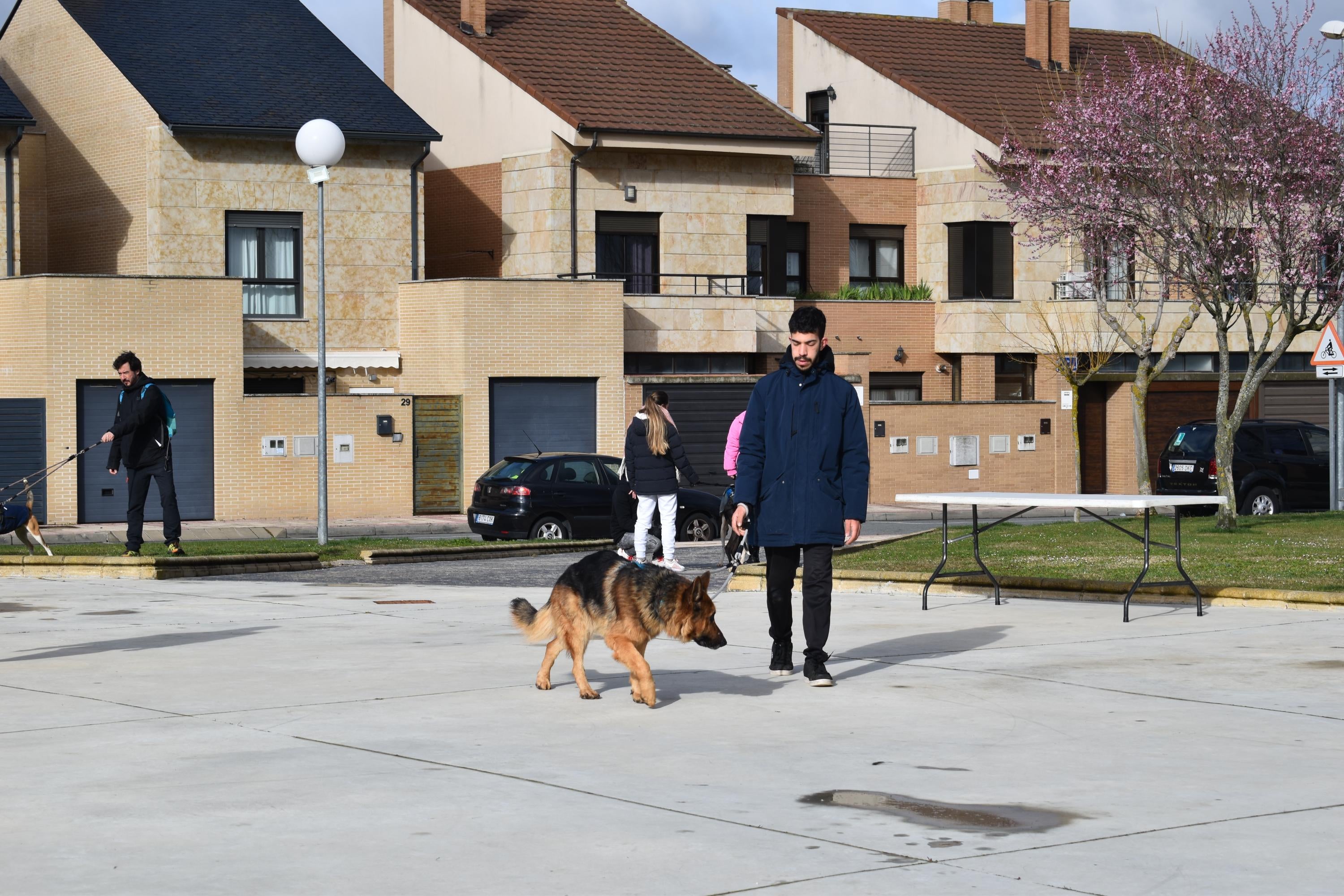 Álvaro Calle y Hulla ganan la IV Canicross de Villamayor