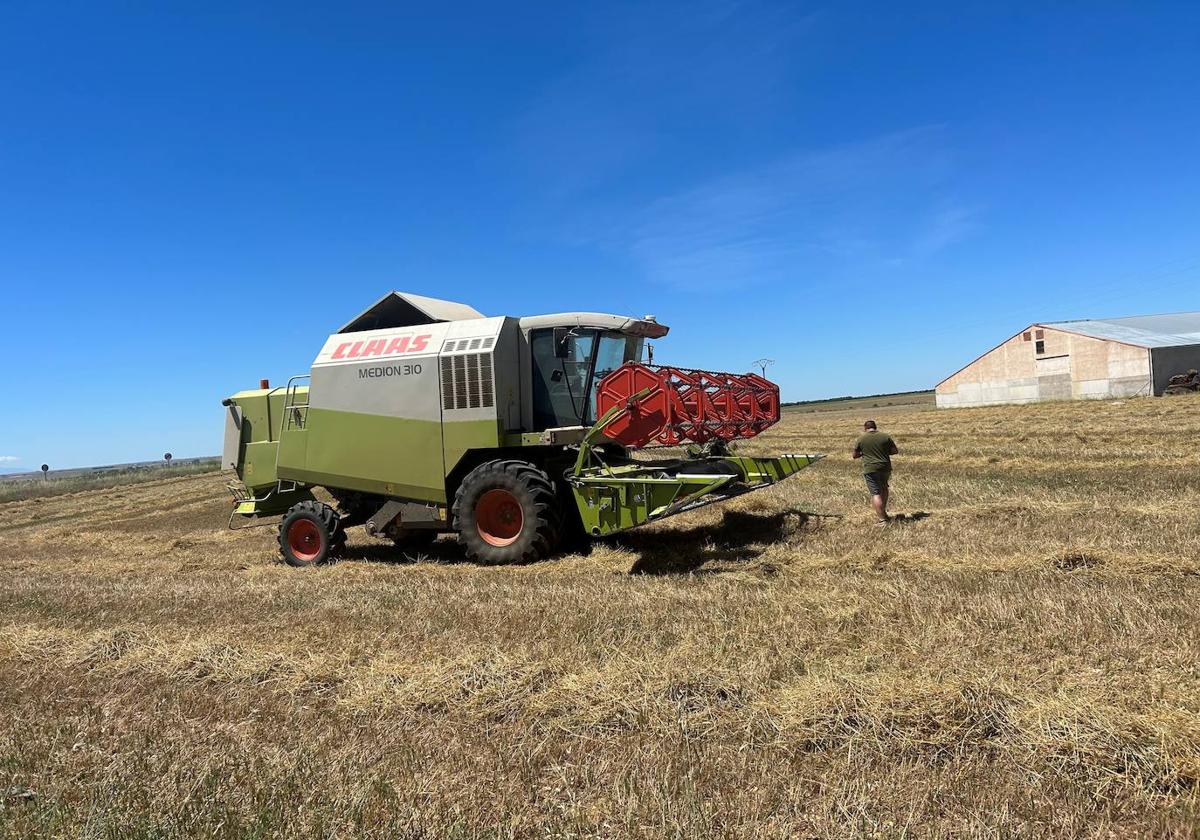 Una cosechadora en un campo de la provincia salmantina.