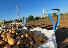 Patatas en yumbos
