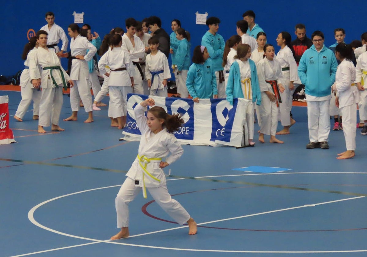 Más de 150 participantes en el II Open de Karate 'Ciudad de Peñaranda'