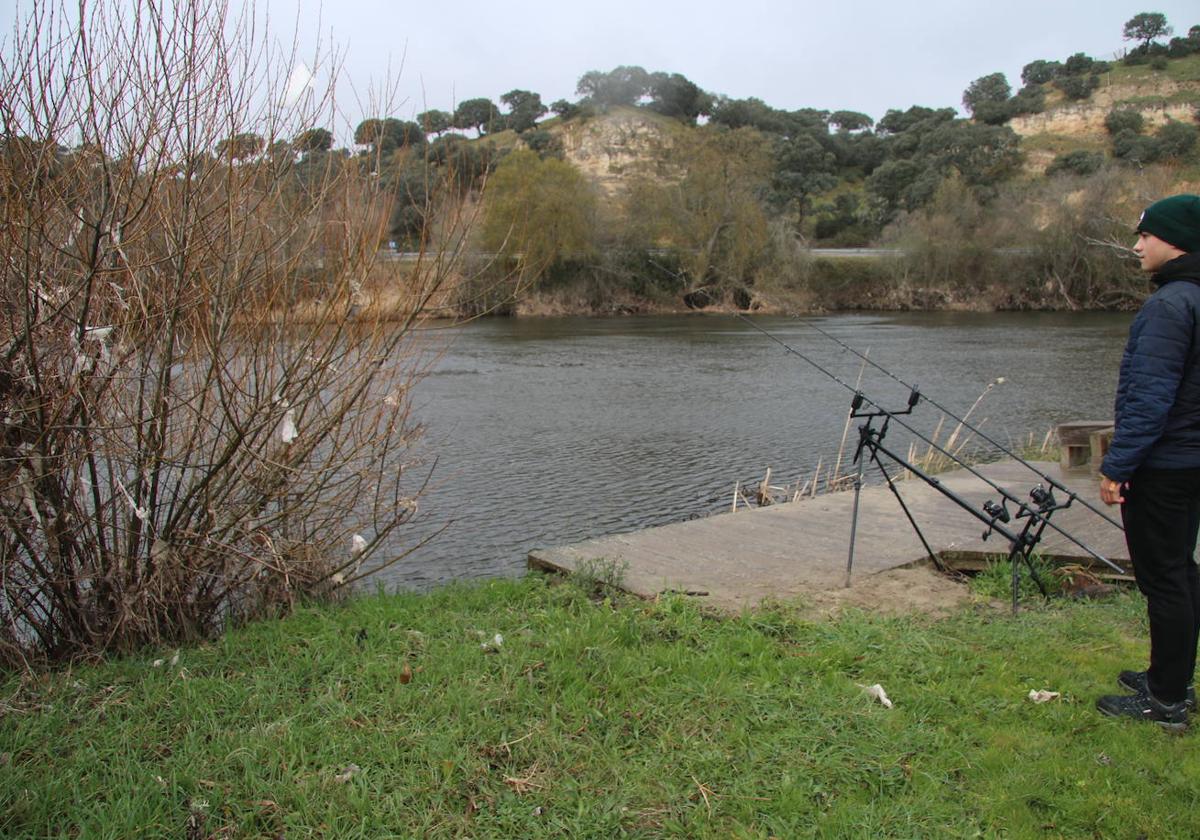 Un pescador en el Tormes a su paso por Villamayor con vegetación llena de restos de toallitas.