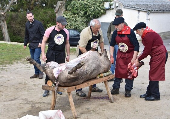 Tarea de despiece del cerdo en la matanza de Vega de Tirados