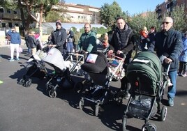 Bebés en carritos en la carrera de la leche de Terradillos