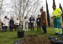 El alcalde de Salamanca y representantes de diversas disciplinas artísticas y culturales, plantando olmos en el desaparecido bosque de olmos de Agustín Ibarrola.