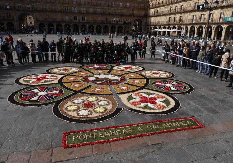 Imagen principal - Así de espectacular ha quedado la alfombra de flores en la Plaza Mayor para la Borriquilla