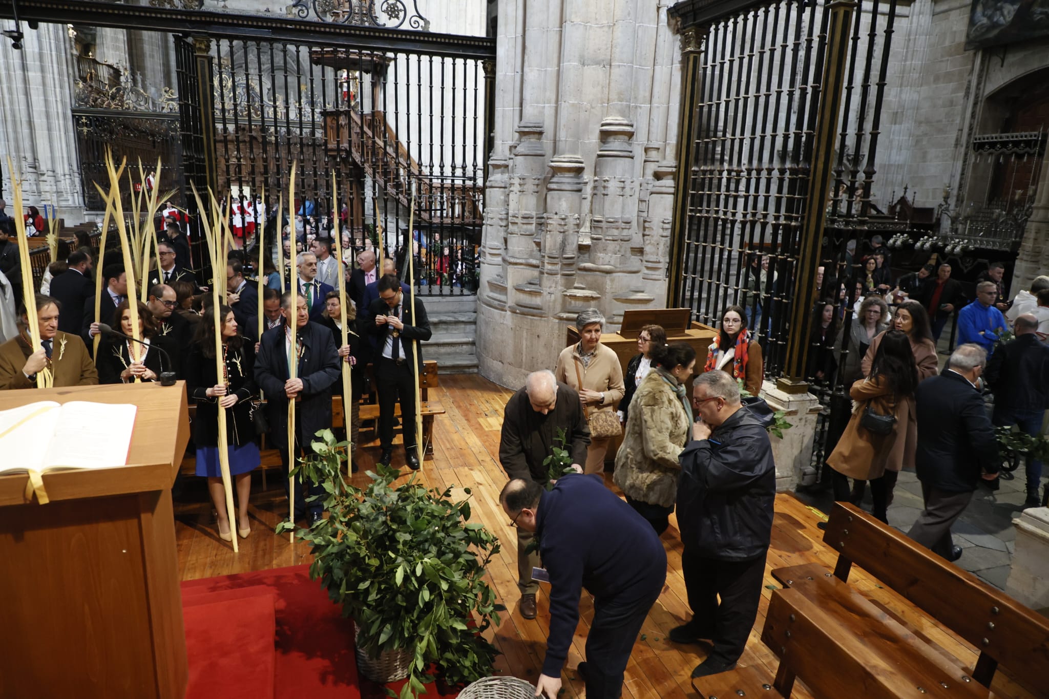 Las mejores imágenes de la procesión de La Borriquilla en Salamanca