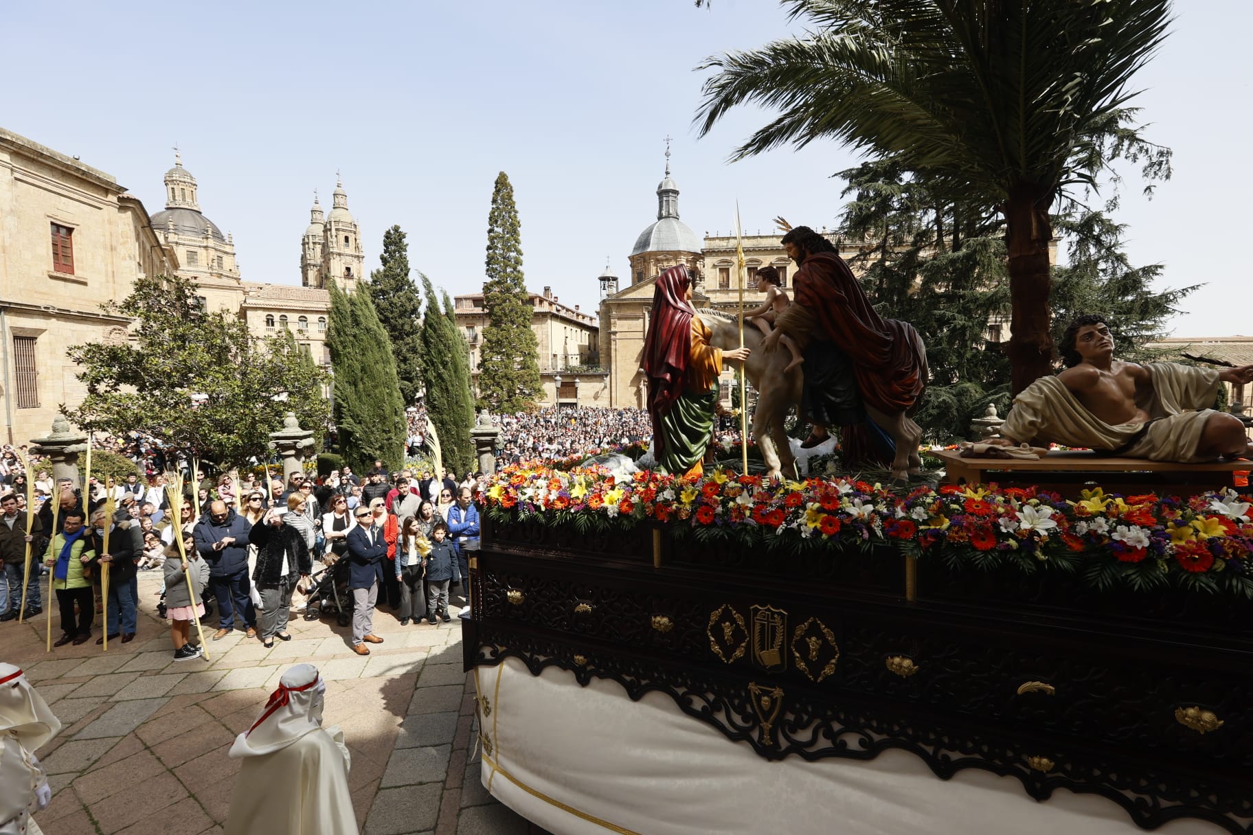 Las mejores imágenes de la procesión de La Borriquilla en Salamanca