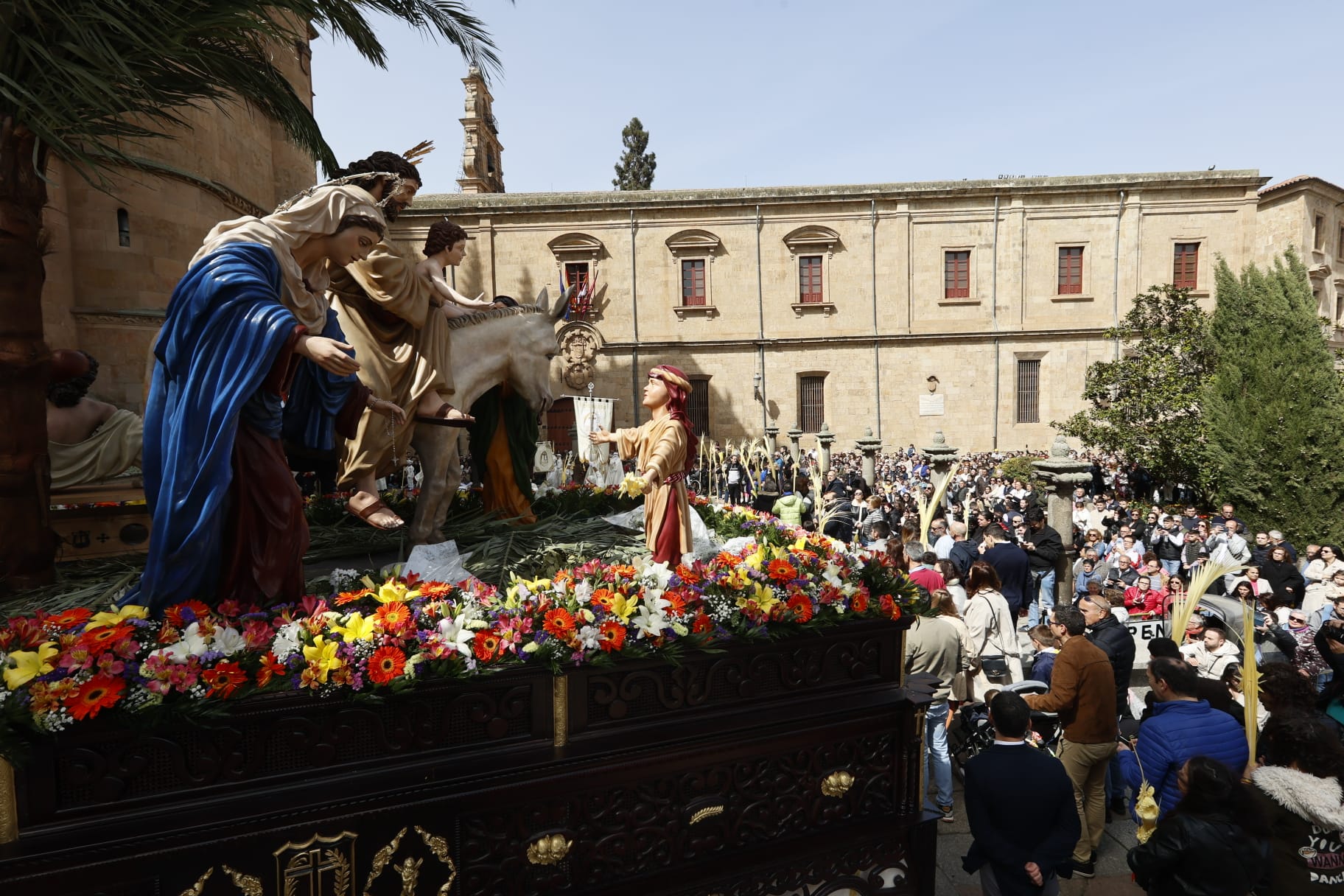 Las mejores imágenes de la procesión de La Borriquilla en Salamanca