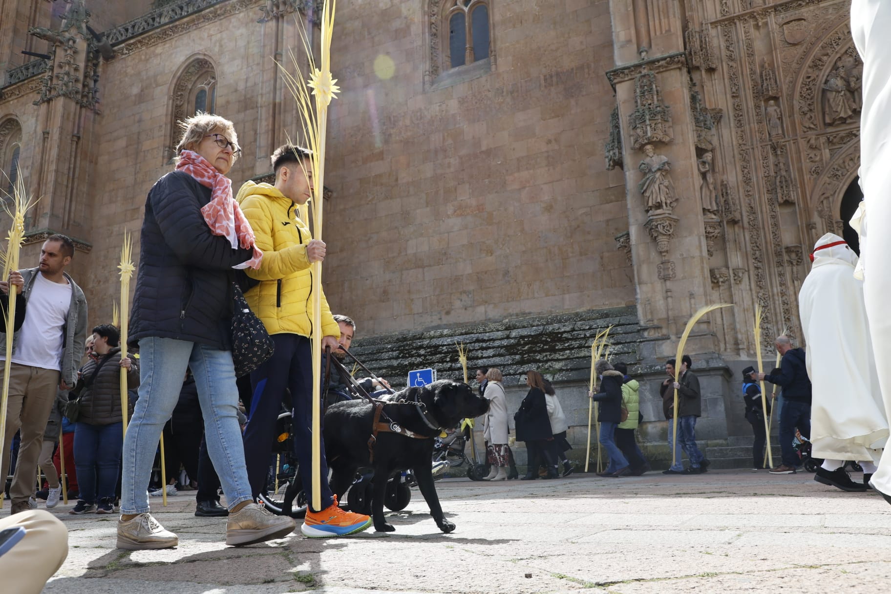 Las mejores imágenes de la procesión de La Borriquilla en Salamanca