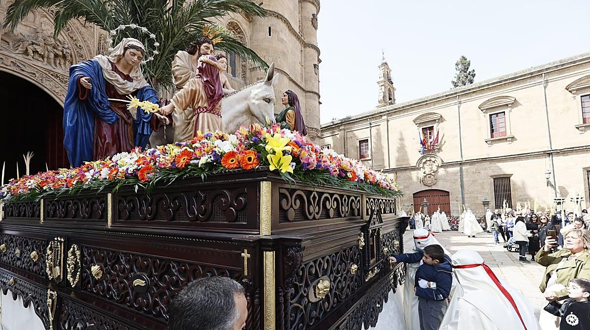 Así ha sido la emocionante salida de la Borriquilla de la Catedral de Salamanca