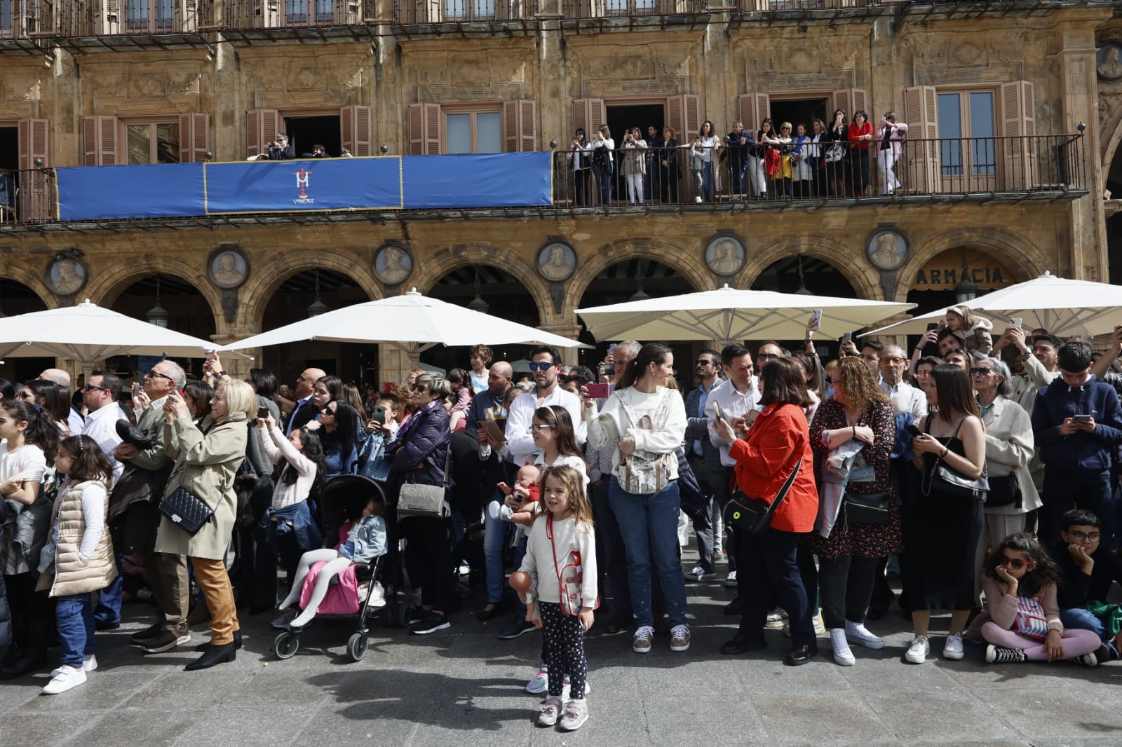 Las mejores imágenes de la procesión de La Borriquilla en Salamanca