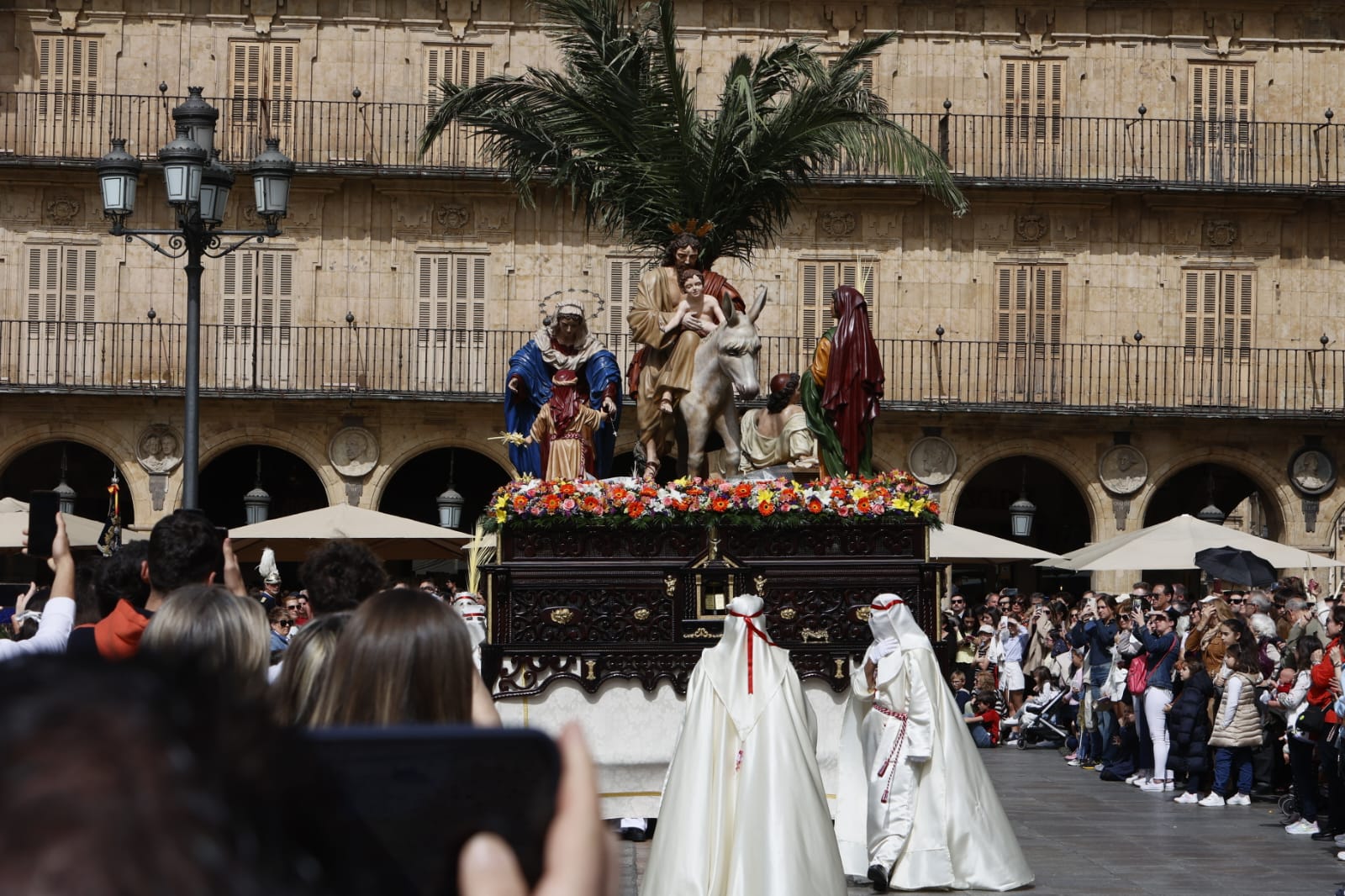 Las mejores imágenes de la procesión de La Borriquilla en Salamanca