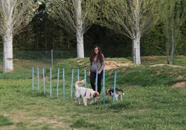 Dos perros juegan con su dueña en un espacio dedicado a los canes en Carbajosa.