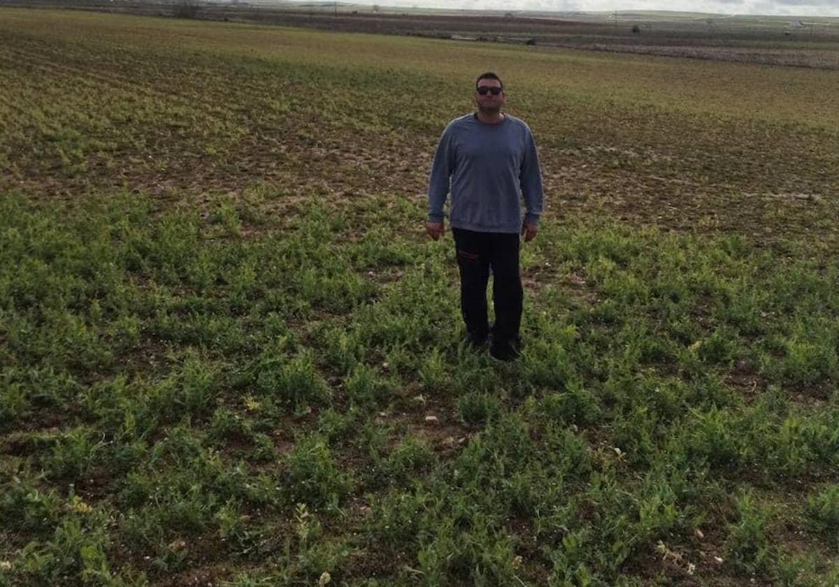 Pedro Moro, agricultor de Villoria, en la parcela de guisantes.