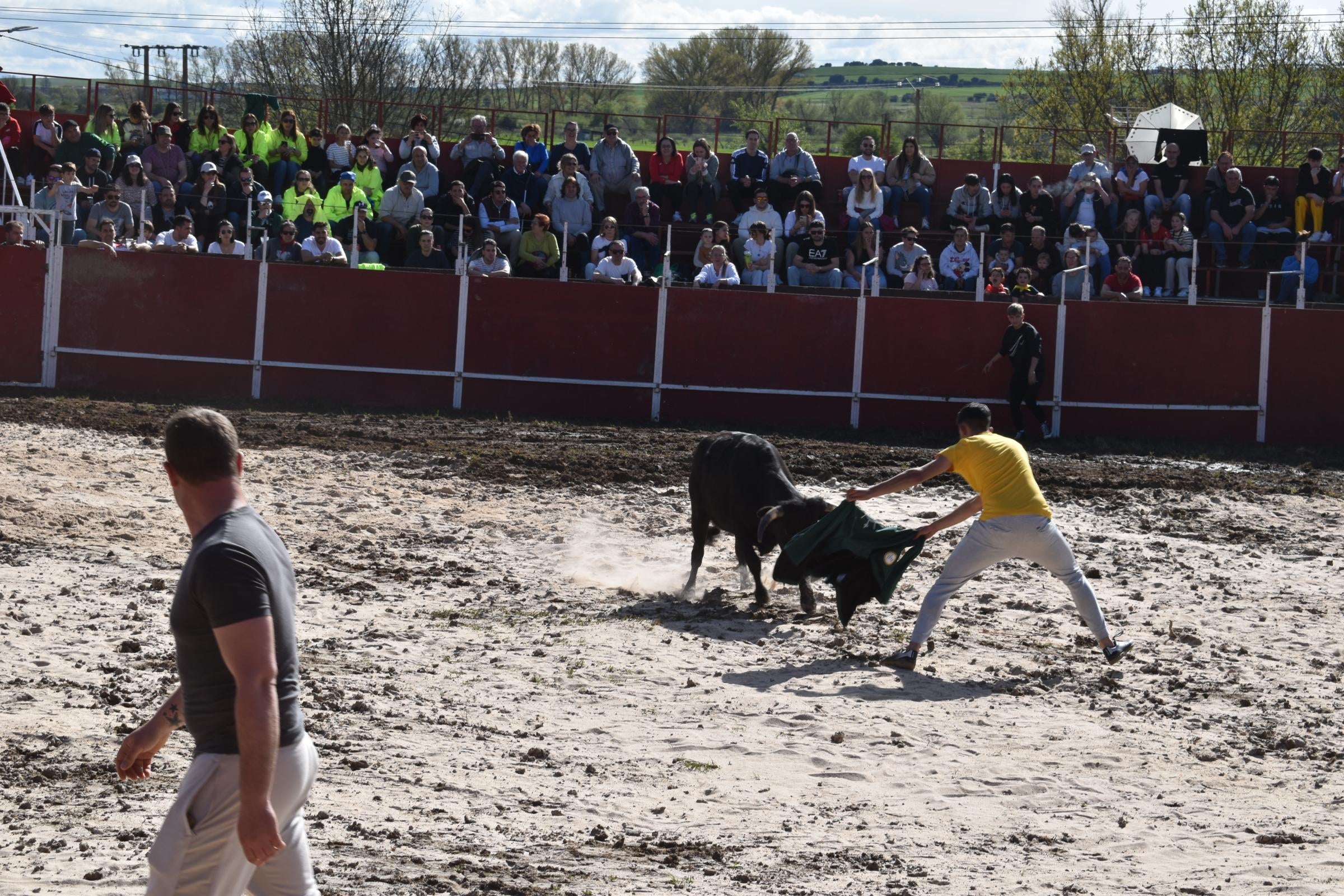 Las vaquillas triunfan y llenan Vega de Tirados