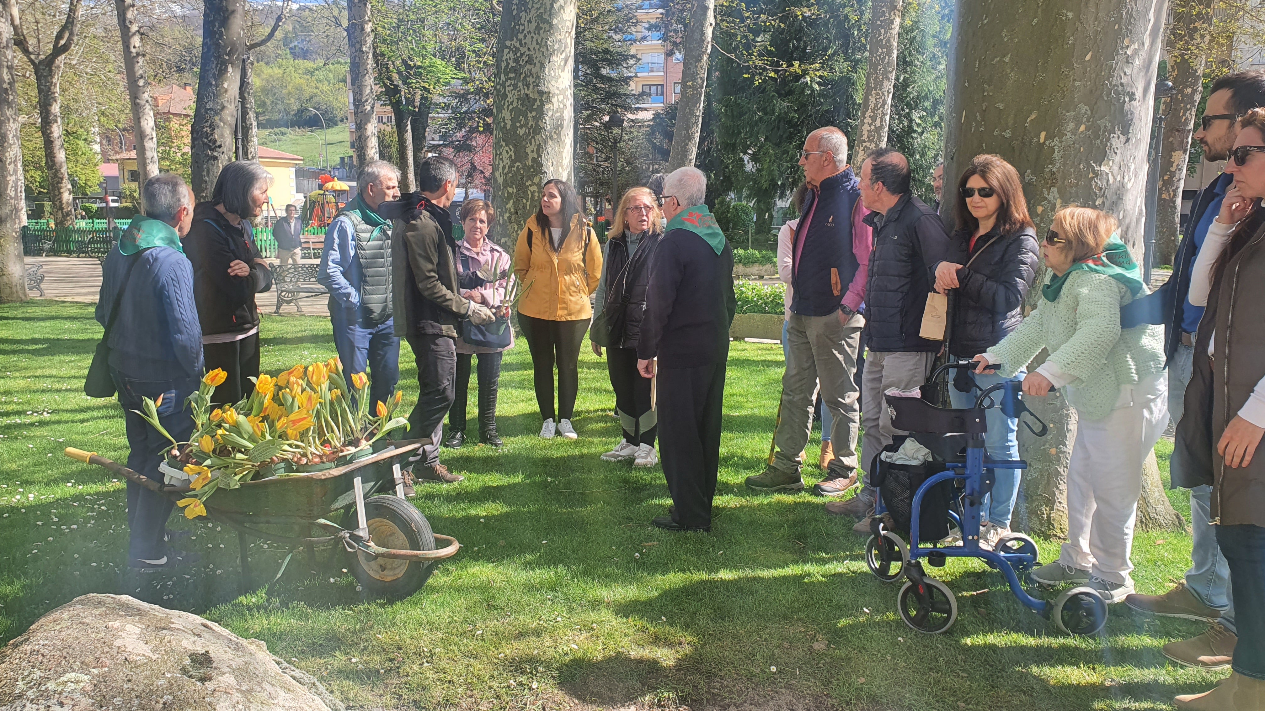 Tulipanes en apoyo de los enfermos de parkinson