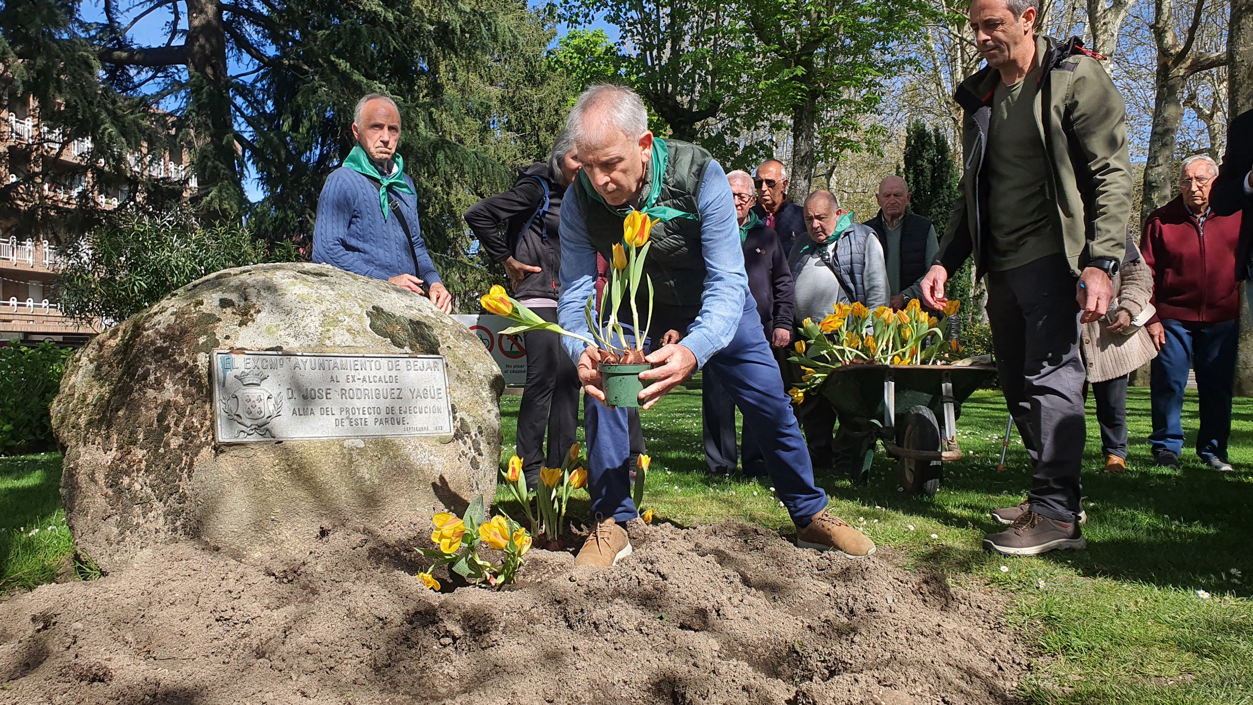 Tulipanes en apoyo de los enfermos de parkinson