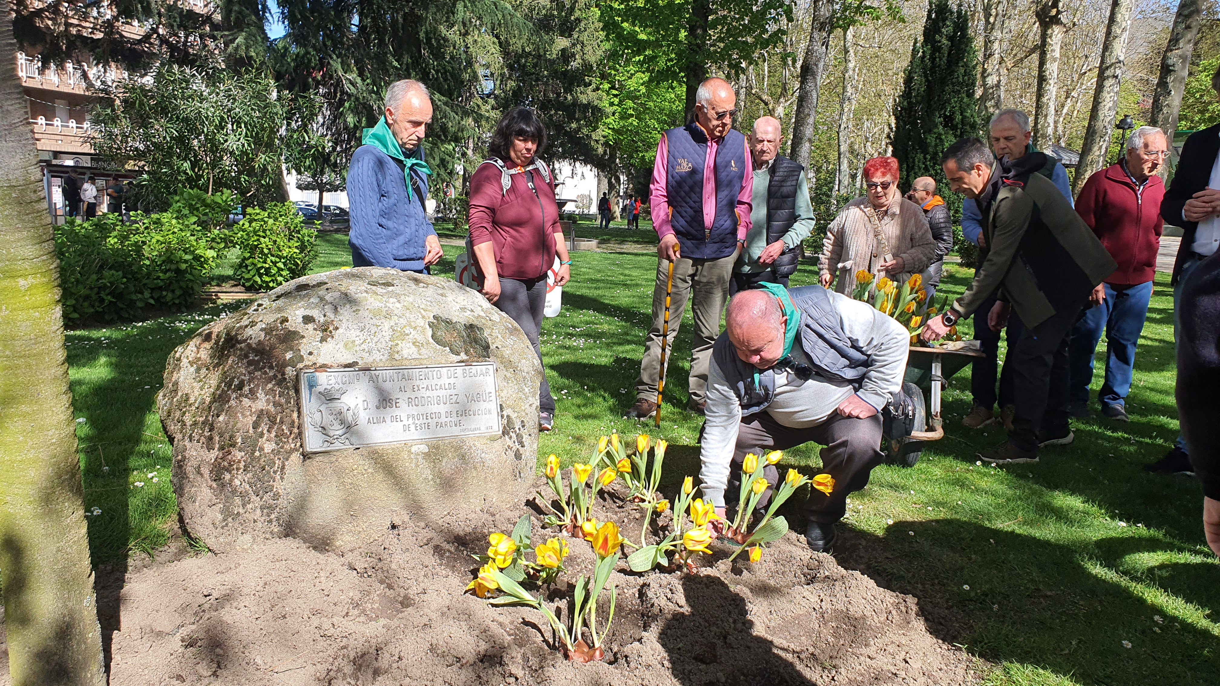 Tulipanes en apoyo de los enfermos de parkinson
