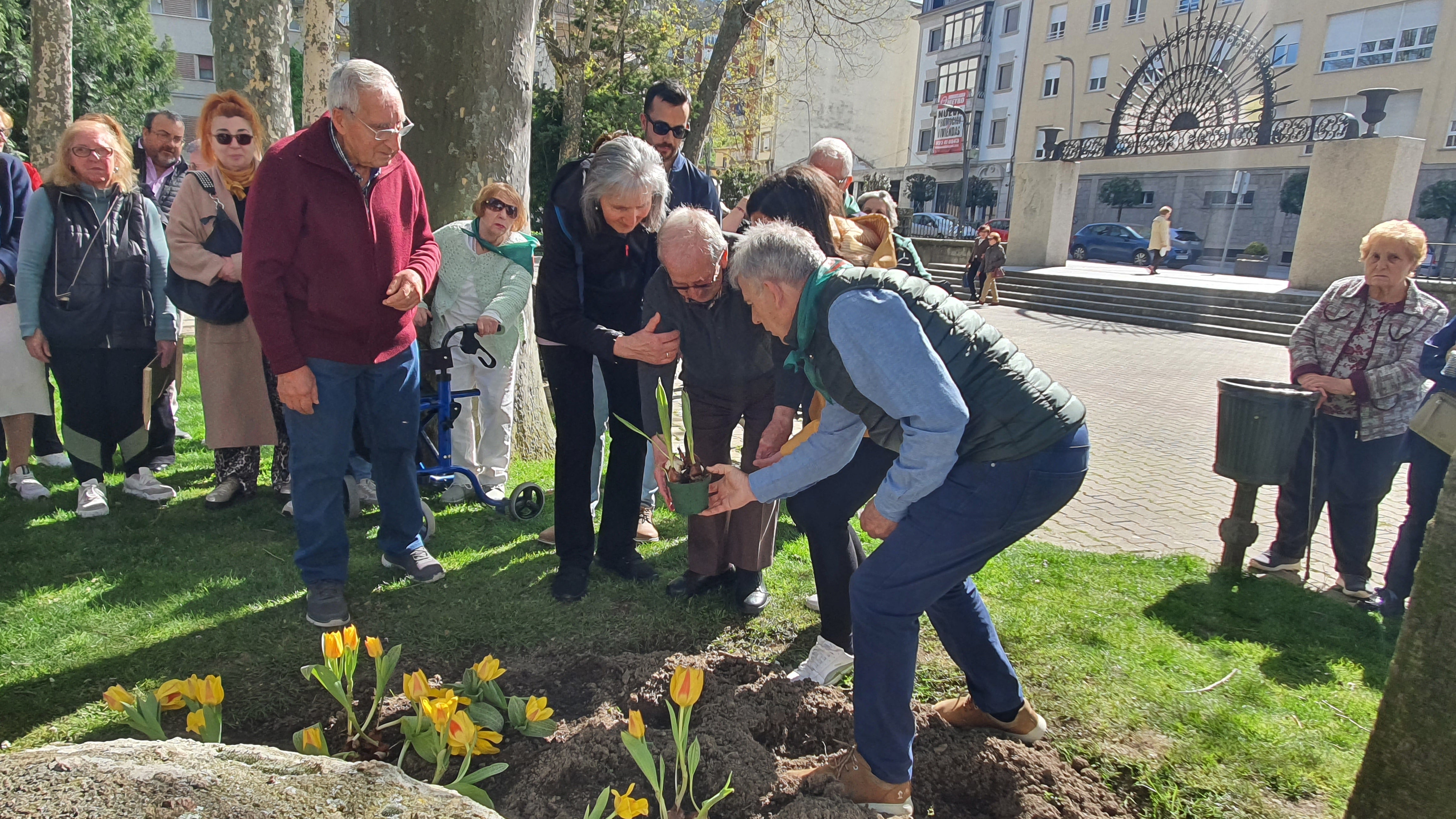 Tulipanes en apoyo de los enfermos de parkinson