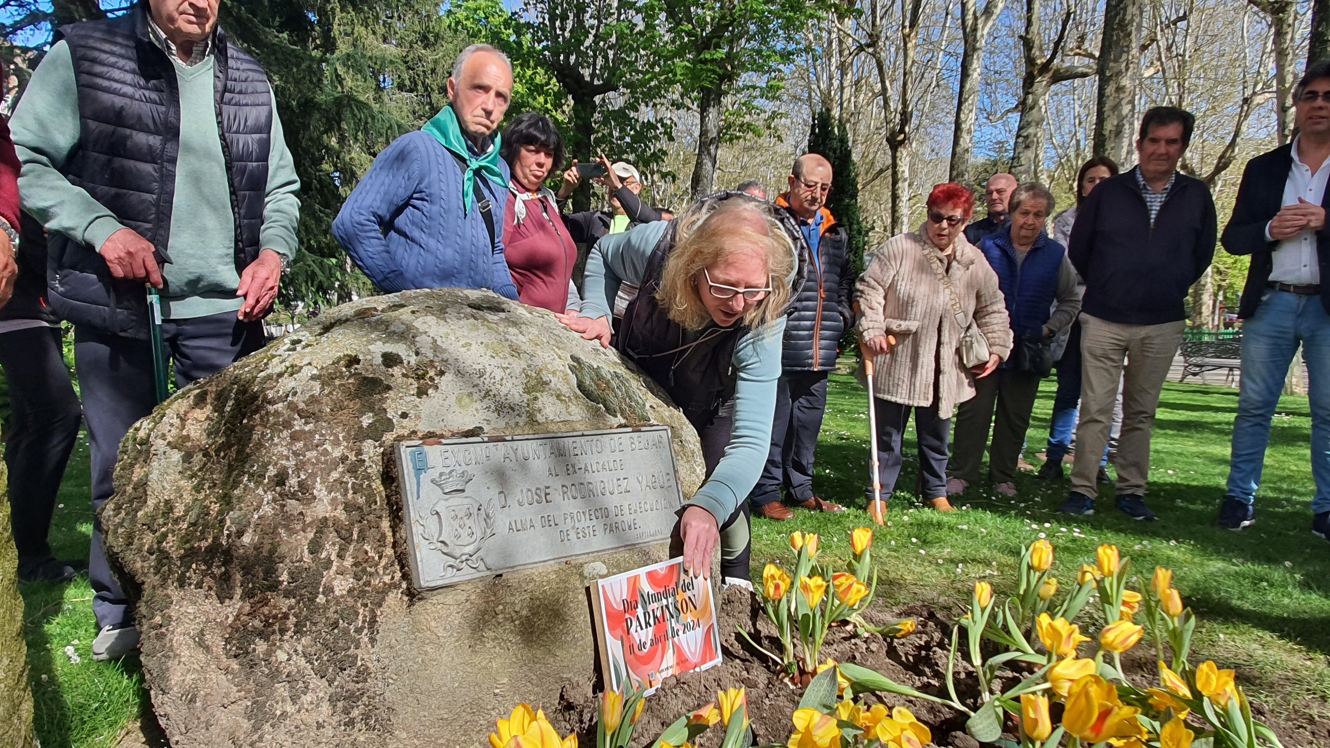 Tulipanes en apoyo de los enfermos de parkinson