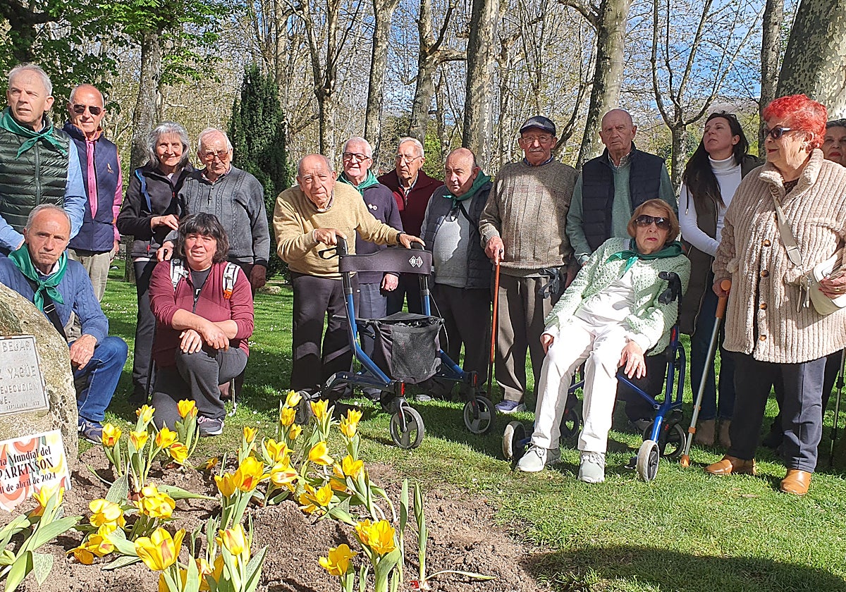 Tulipanes en apoyo de los enfermos de parkinson