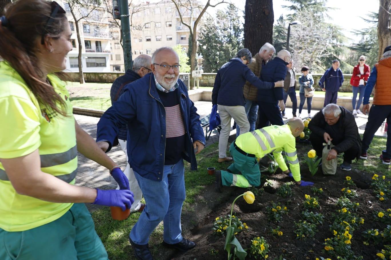 Tulipanes para sensibilizar y buscar avances contra el párkinson